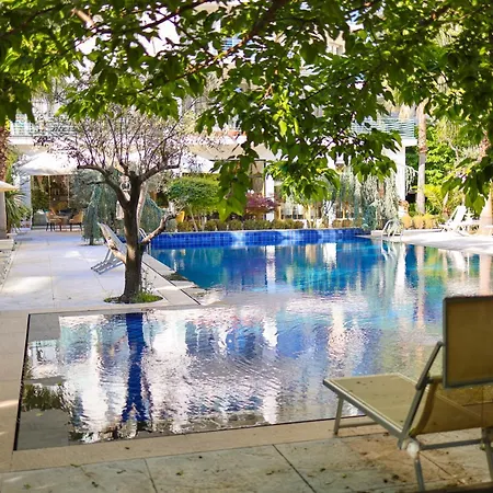 Mille Amici Shëngjin