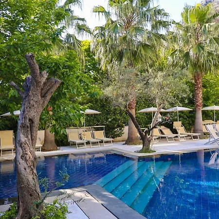 Mille Amici Hotel 5*